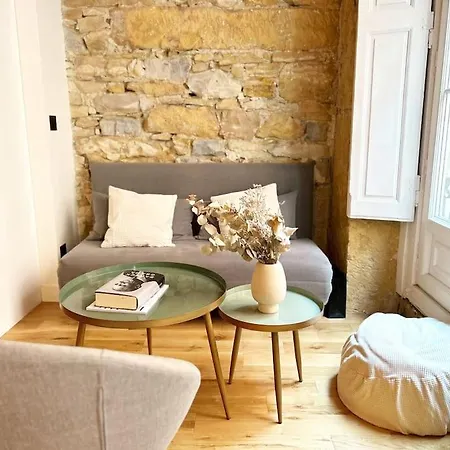 Votre Cocon En Plein Centre-ville De Lyon. Apartment